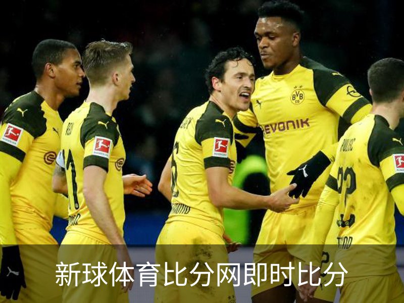 新球体育比分网即时比分简介